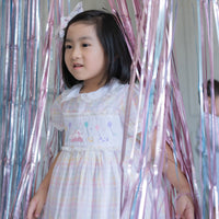 Anniversarie Dress in Rainbow Gingham