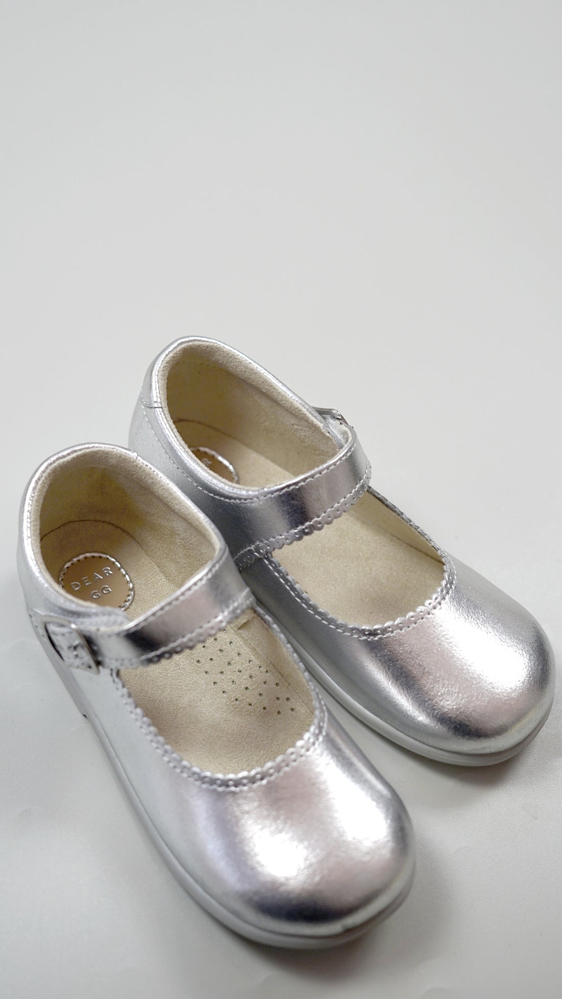 Hampton Shoes in Silver